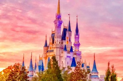 7 Tips For Wearing a Face Covering in Disney World