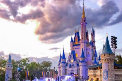 Inspectors Deem Disney World as Ready to Reopen in Mid-July