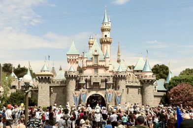 Former Disney Vacation Club VP to Oversee Disneyland Operations