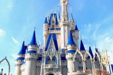 DFB Video: Latest Disney Parks News — Disney World Reopening Dates, Canceled Reservations and Dining Plans, and MORE!