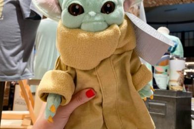 Spotted: Baby Yoda Plush Reappears In Disney Springs!