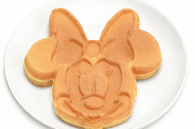 Disney Waffle Makers for All!