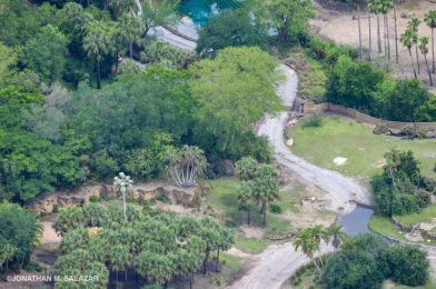 Aerial Photos Taken During Closure Give a Bird’s Eye View of Kilimanjaro Safaris