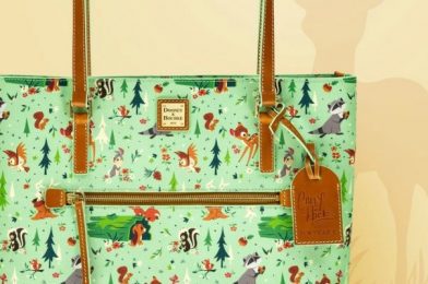 Dooney & Bourke Is Releasing a New United Kingdom-Inspired Collection Online SOON!