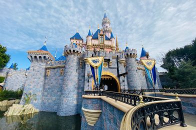 Disneyland Resort Can Reopen Under Stage 3 of California’s Reopening Plan; Governor States Stage 3 Could Begin as Early as June