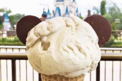 The History Behind Some of Your FAVORITE Classic Disney Parks Snacks!