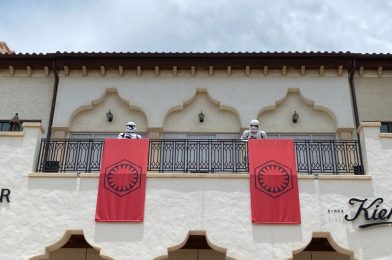 PHOTOS, VIDEO: Stormtroopers Now Patrolling Disney Springs to Ensure Compliance with Proper Social Distancing