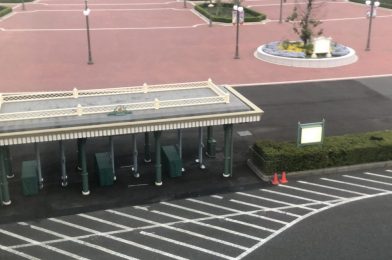 PHOTOS: Metal Detectors Installed in Front of Tokyo Disneyland