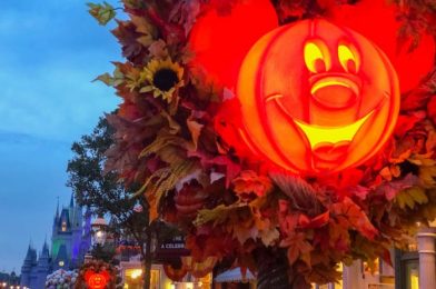 We Have an UPDATE on Mickey’s Not-So-Scary Halloween Parties in Reopened Disney World!