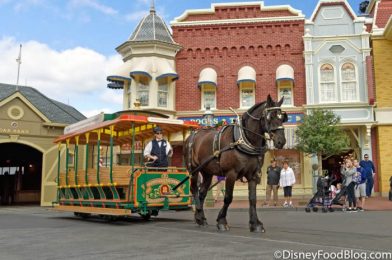 Here’s EVERYTHING You Need to Know About the Disney World Annual Passholder Previews!