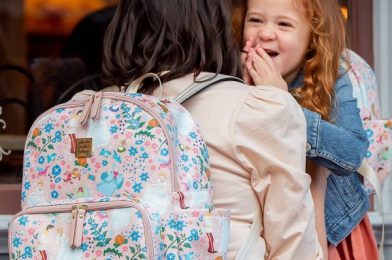 So, This Is Love? New Disney Cinderella Backpack From Petunia Pickle Bottom Makes Outings With Baby A Breeze!