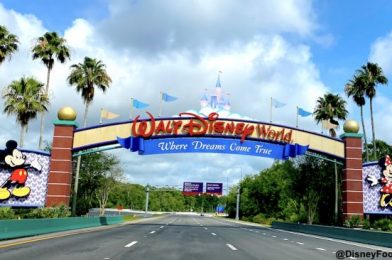 Could Disney World’s Water Parks Be Reopening SOON?!