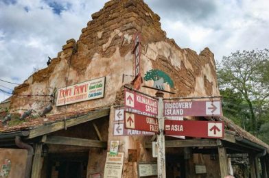 PHOTOS! Brand NEW Animal Kingdom Bag Check Area in Disney World!