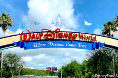 Could the Government Pay for Your Next Disney Trip!?