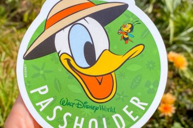 NEWS! Some Disney World Annual Passes Now Display Extended Expiration Dates