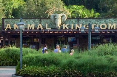 Avoid These 5 Mistakes When Making Your Disney World Park Pass Reservations!