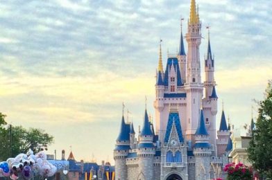 BREAKING NEWS: Disney World Theme Park Reservation System Dates and Information Announced!