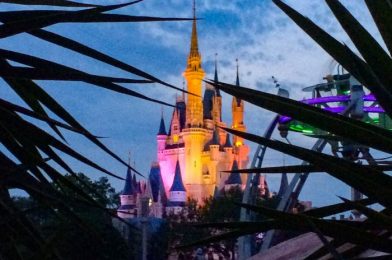 Disney World Park Pass Reservation System FAQ