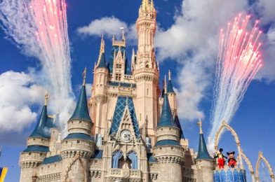 DFB Video: Here’s What We Can Expect in Disney World in 2021!