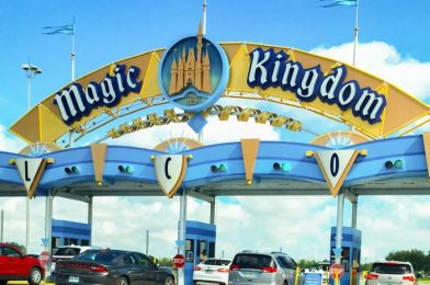 If You’re Planning to Visit Disney World From One of THESE States Soon, You Need to Read THIS!