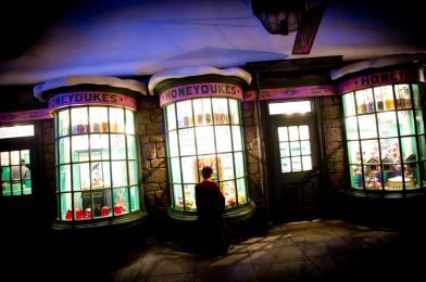 10 Years of The Wizarding World of Harry Potter