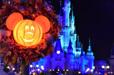 Mickey’s Not-So-Scary Halloween Party Canceled for 2020