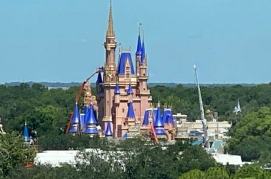 DFB Video: Is It Even Worth It To Go To Disney World This Year?