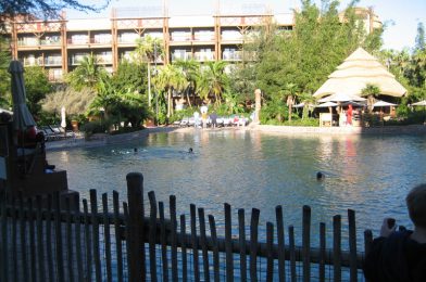 DVC Availability Returns to Jambo House