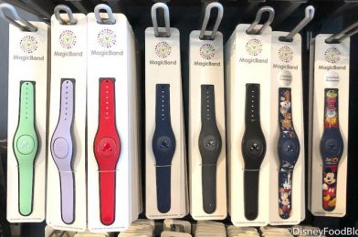 We’re OBSESSED With These NEW Magenta MagicBands Spotted at Disney Springs!