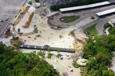 PHOTOS: Disney’s Animal Kingdom Bag Check Area Demolished Ahead of Reopening