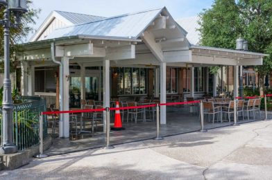 PHOTOS: Construction Walls Come Down at Chef Art Smith’s Homecomin’, Brand-New “Shine Bar + Social” Revealed