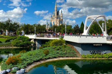 NEWS! Disney World’s Park Pass Reservation System Is Live! We Have All the Need-to-Know Details!