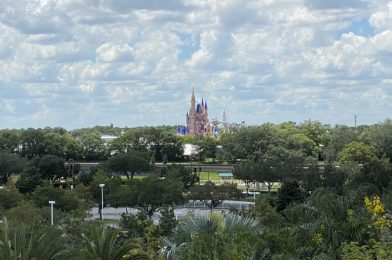 PHOTOS: Bright Pink Cinderella Castle and TRON Lightcycle Run Construction from Disney’s Contemporary Resort