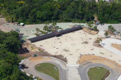 PHOTOS: An Updated Look at Disney’s Animal Kingdom Bag Check Area Ahead of Reopening