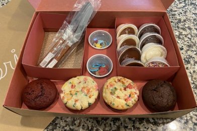 NEW DIY Sprinkles Cupcake Kits Now Available at Disney Springs