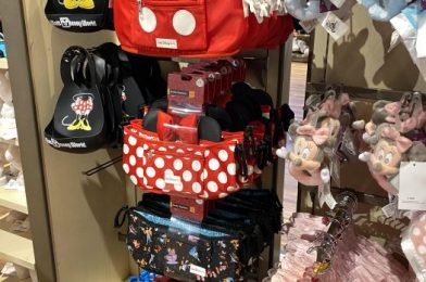 New Disney Themed Stroller Organizers and Bibs Available at Disney Springs