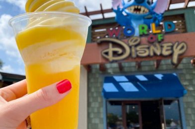 Ten 😄Bizarre😄 Things You Never Knew You Could Do at Disney World