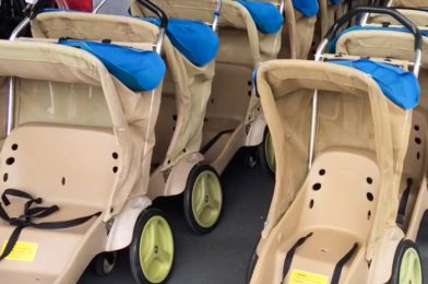 News: Stroller Rentals CAN Still be Delivered to Your Disney World Hotel!