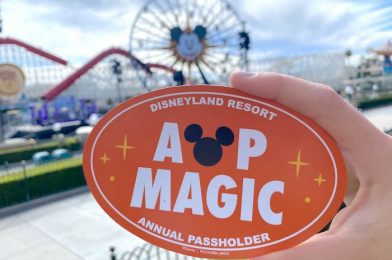 Could Disney Annual Passholders Get EXTRA Days Added to Their Passes Following the Reopening?