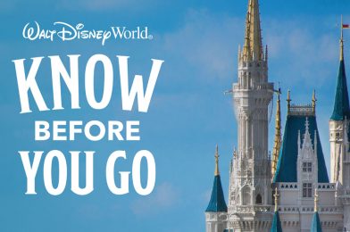 Disney Park Reservation System Announced