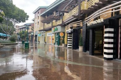 NEWS! Wetzel’s Pretzels Plans on Re-Opening in Disneyland’s Downtown Disney in July!