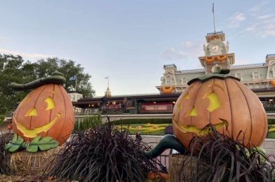 Food & Wine Fest Begins Early; Halloween Party Cancelled