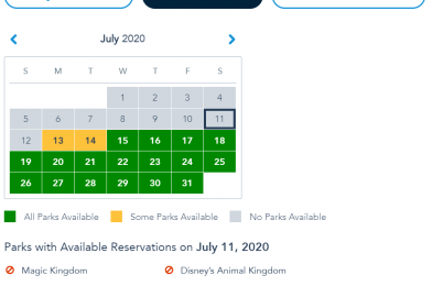 Walt Disney World Park Pass Reservation System Now Live for Annual Passholders