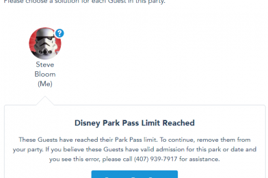 Disney Park Pass System