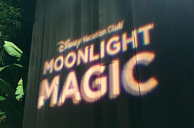 Typhoon Lagoon Moonlight Magic Cancelled for 2020