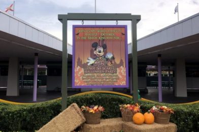 BREAKING NEWS: Disney World’s 2020 Mickey’s Not-So-Scary Halloween Party Has Been Canceled