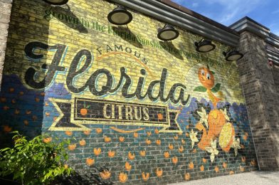 PHOTO REPORT: Disney Springs 6/24/2020 (Construction Updates, New Merch, Face Mask Availability, and More)