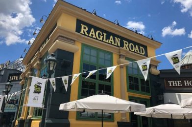 We Know When Brunch is Returning to Raglan Road in Disney Springs!