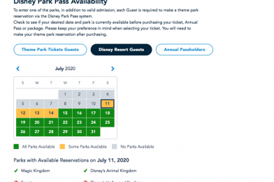 How to Access the New Disney Park Pass System at Walt Disney World; New Availability Calendar Available