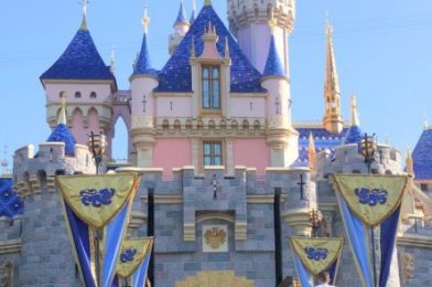 News: Disneyland and Union Cast Members Have Reached an Agreement Concerning Their Return to Work